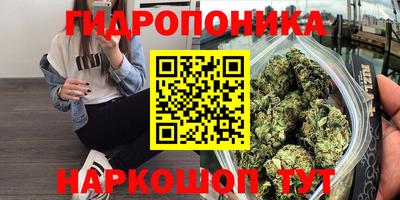 ECSTASY Ливны