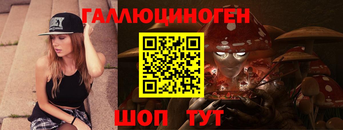 Галлюциногенные грибы Psilocybine cubensis Чехов